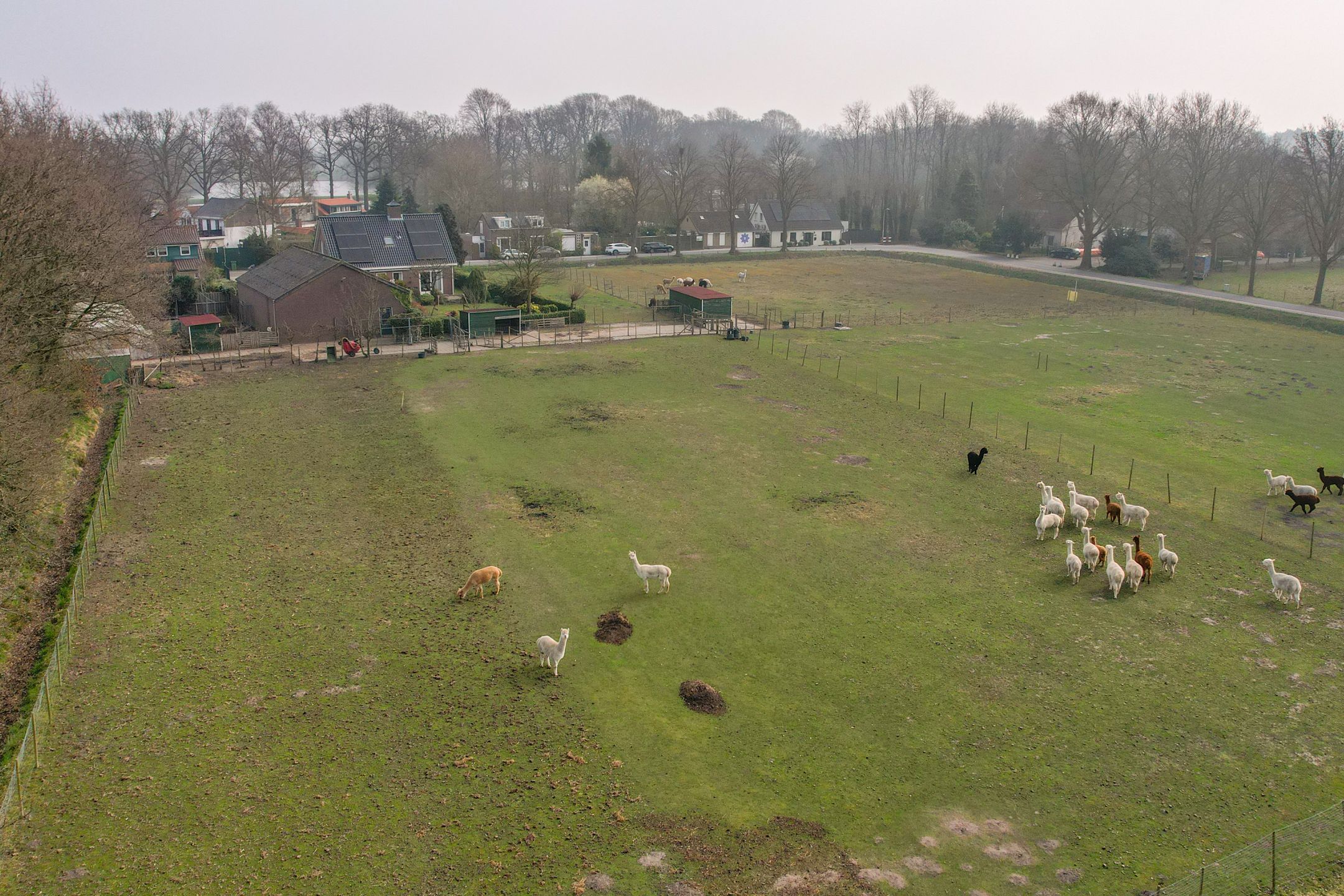 Foto 39 van Koestraat 2-A