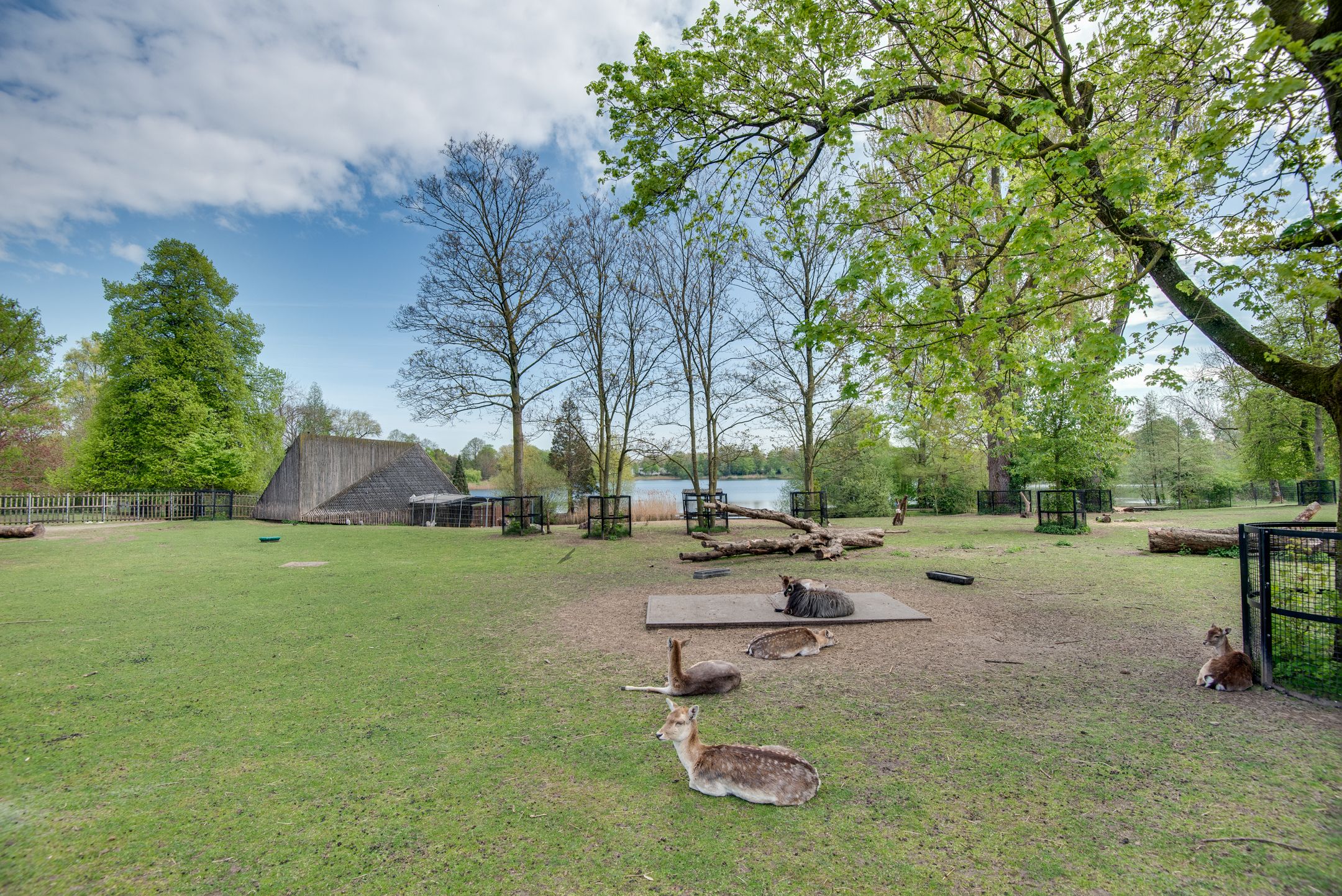 Foto 27 van Dr. Hermansstraat 28