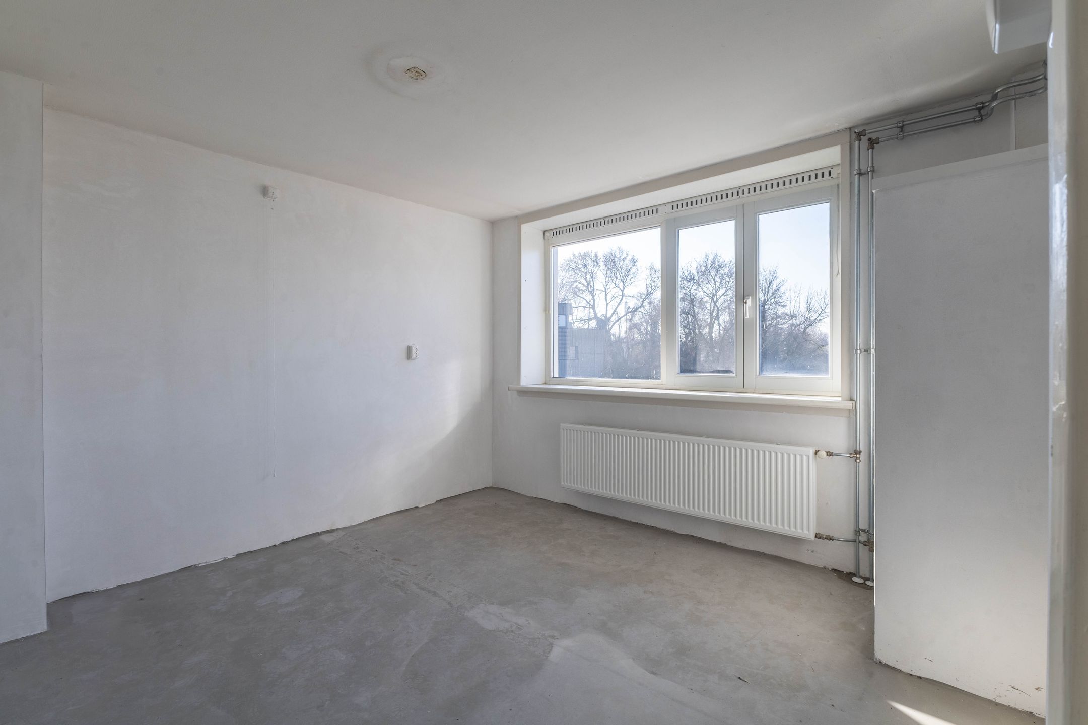 Foto 15 van Willem Mulierhof 4