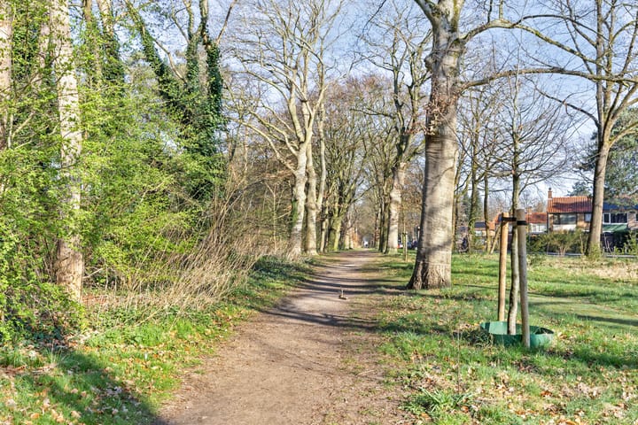 Photo 36 of Prof. Lorentzlaan 94