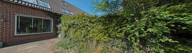 achtertuin