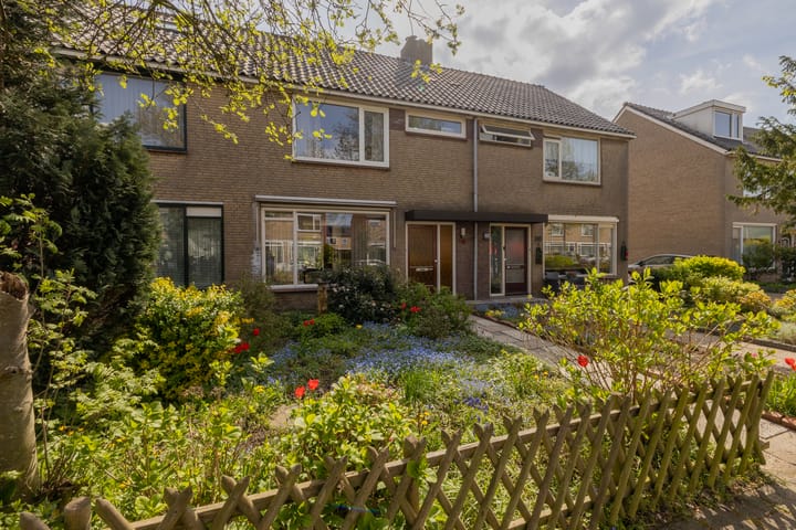 Foto 5 van Grutto 116