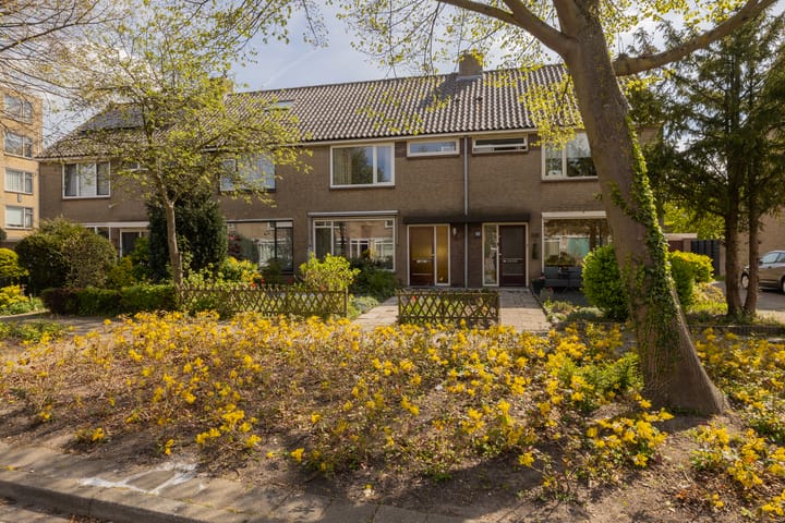 Foto 41 van Grutto 116