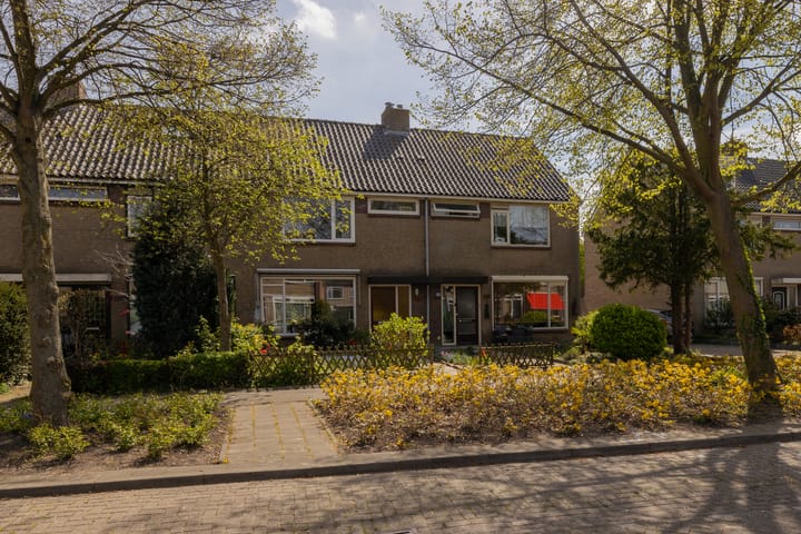 Foto 42 van Grutto 116