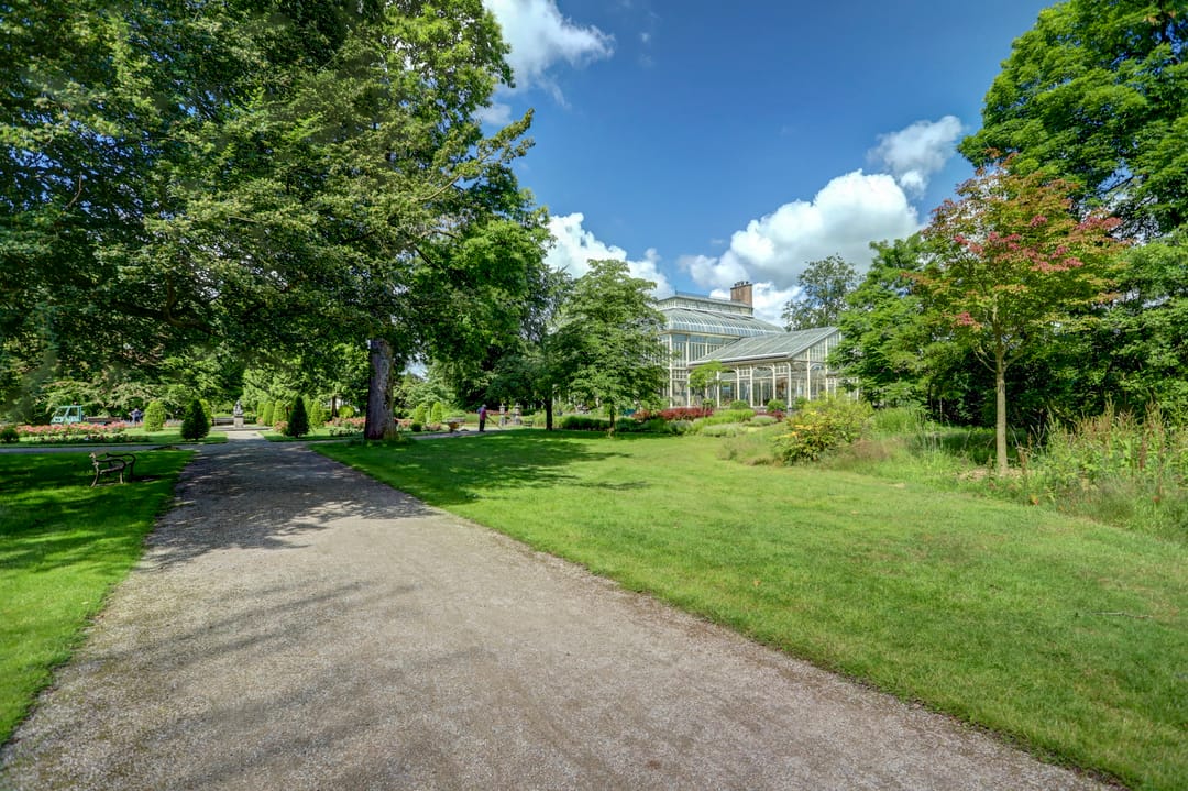 Foto 31 van Rozenstraat 2