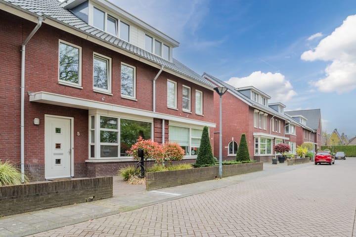 Foto 4 van Zandoogje 5