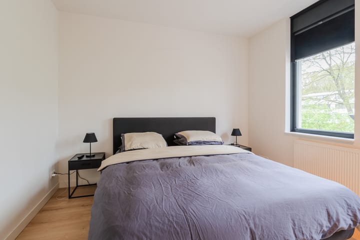 Foto 18 van Zandoogje 5