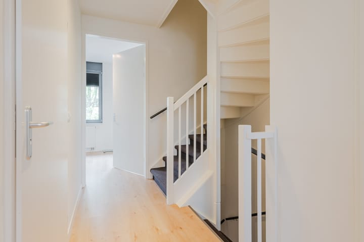 Foto 26 van Zandoogje 5