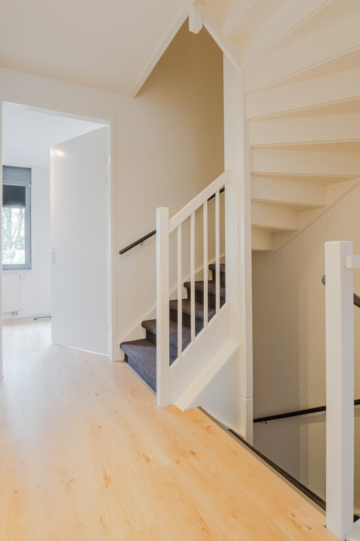 Foto 27 van Zandoogje 5