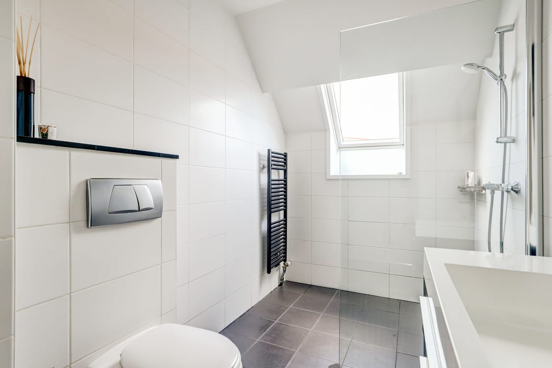 Foto 37 van Bandijk 99