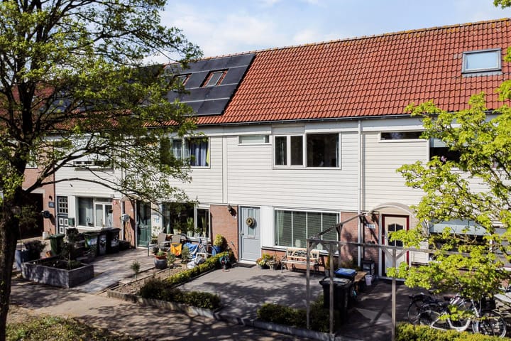 Foto 55 van Bandijk 99