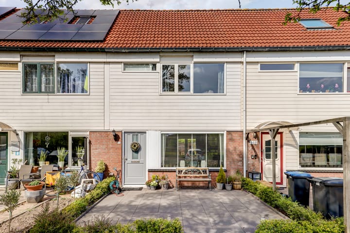 Foto 57 van Bandijk 99