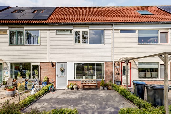 Foto 58 van Bandijk 99