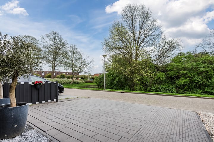 Foto 30 van Haring 13