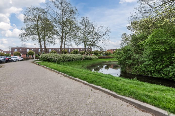 Foto 32 van Haring 13