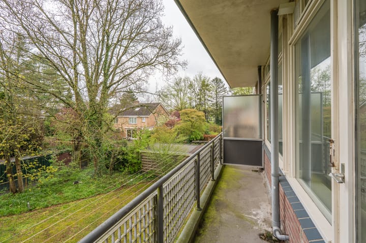 Foto 24 van Henricus Muntinglaan 40