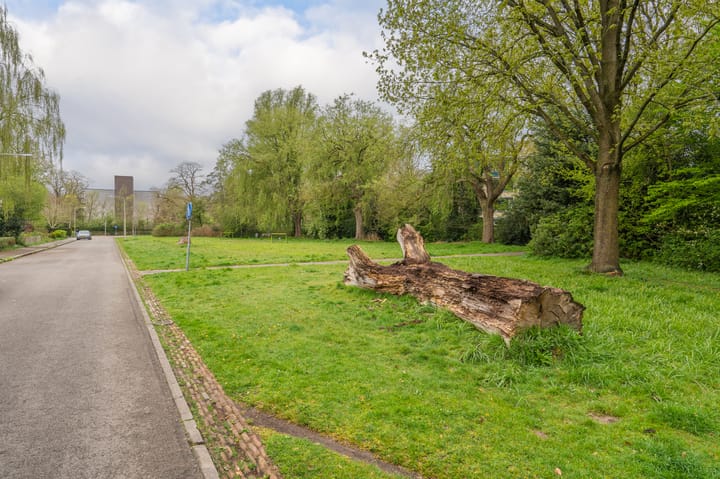 Foto 39 van Henricus Muntinglaan 40