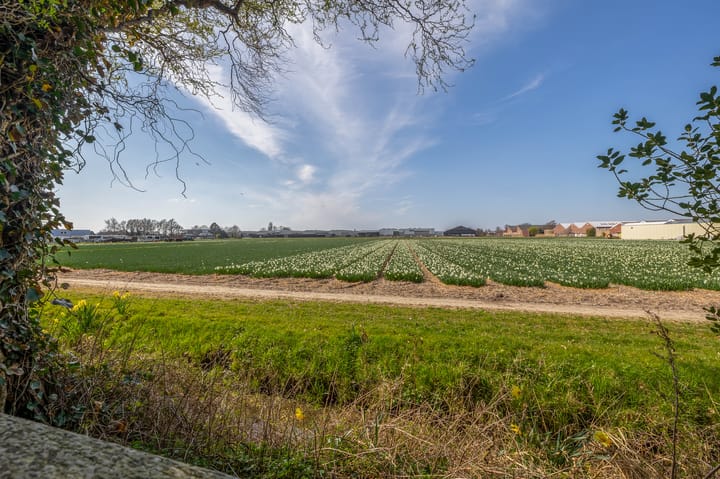 Photo 74 of Weeresteinstraat 191