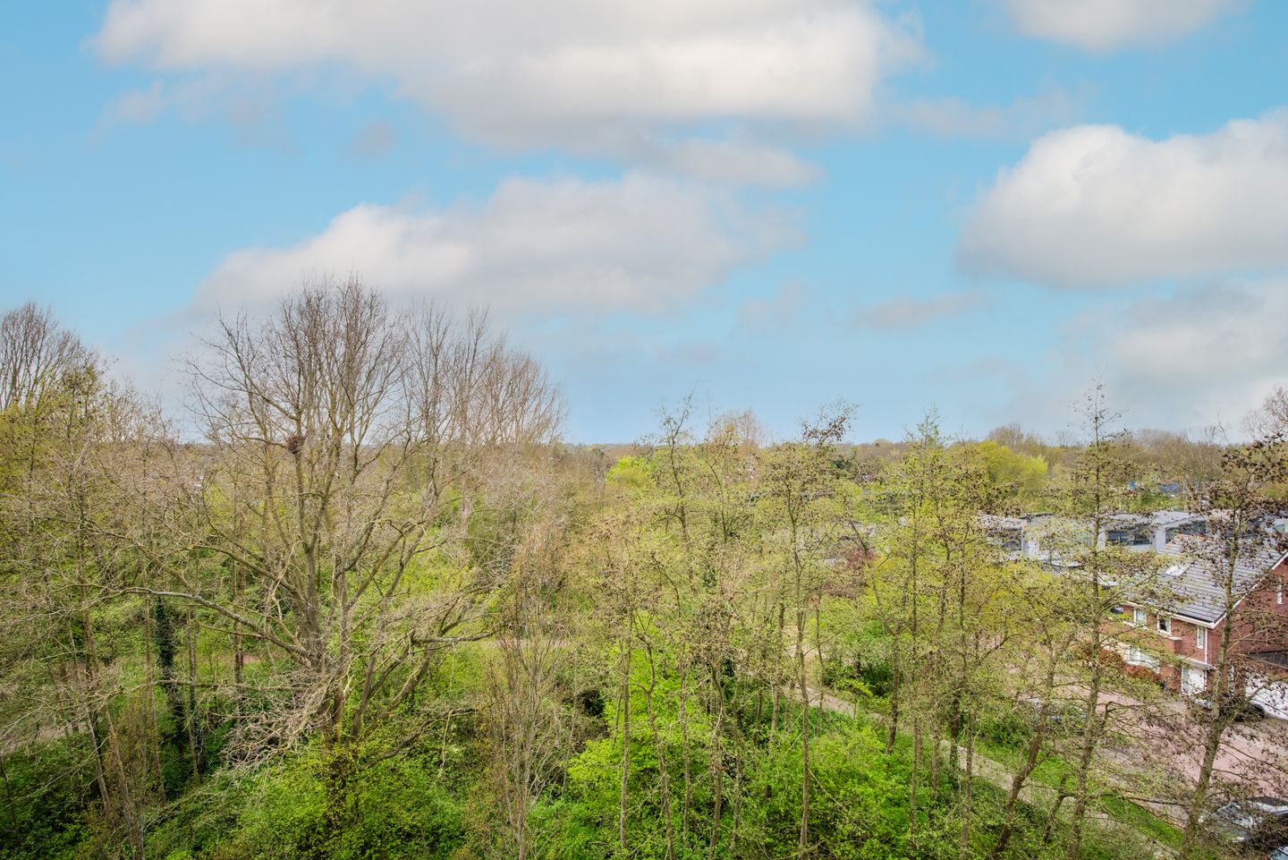 Photo 35 of Annie M.G. Schmidtstraat 52