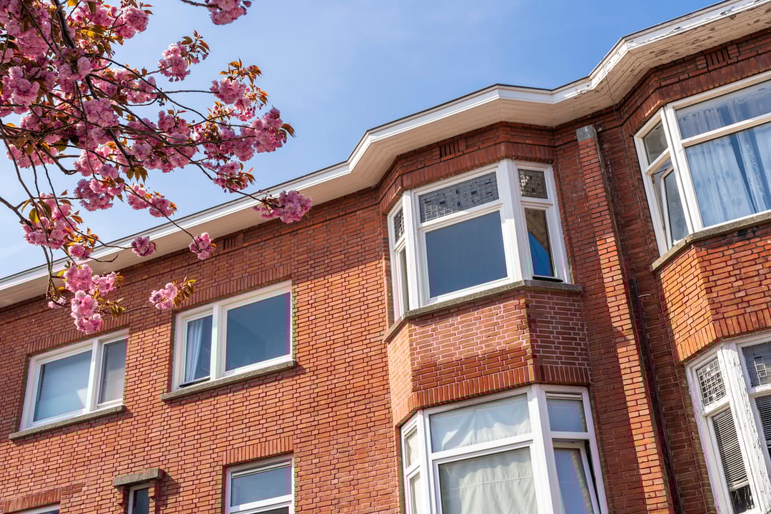 Foto 31 van Reinwardtstraat 81