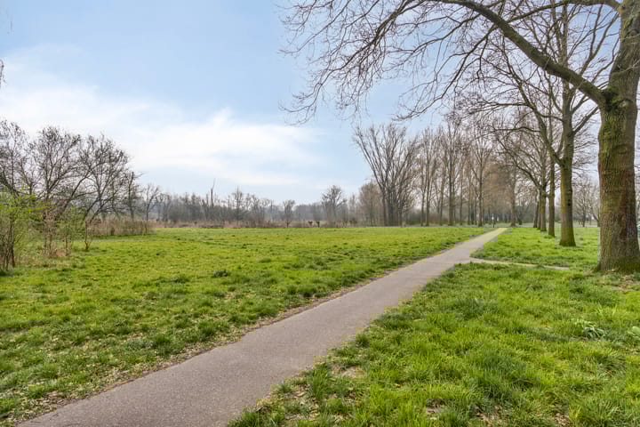 Foto 42 van Livornostraat 20