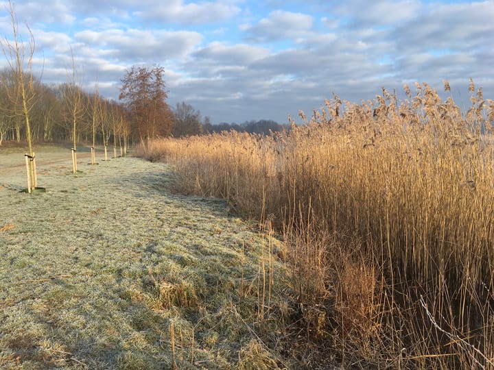 Foto 26 van Groene Heuvels 211