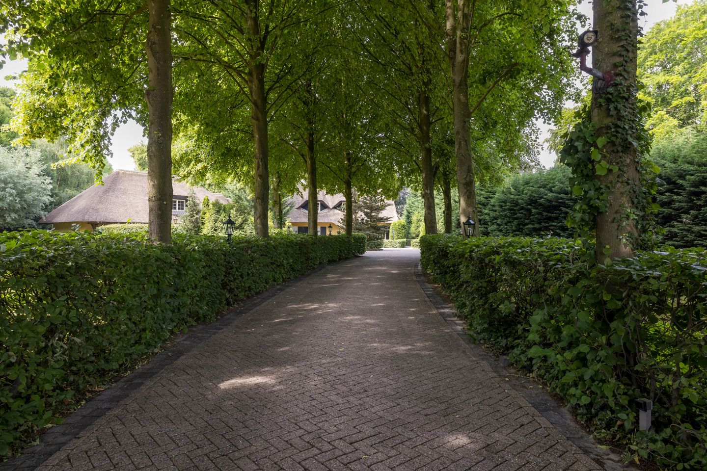 Foto 5 van Lieshoutseweg 49