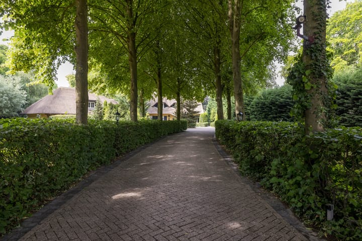 Foto 5 van Lieshoutseweg 49