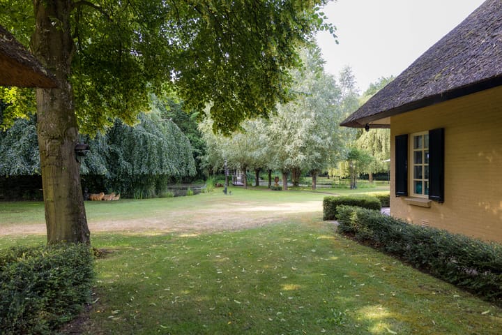 Foto 64 van Lieshoutseweg 49