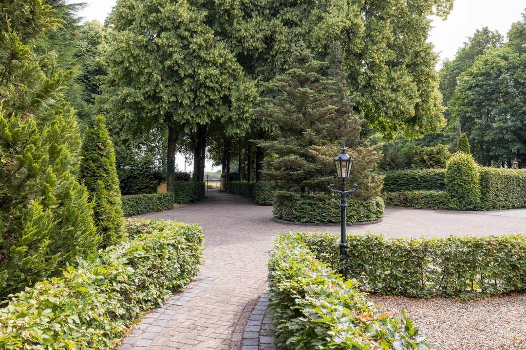 Foto 67 van Lieshoutseweg 49