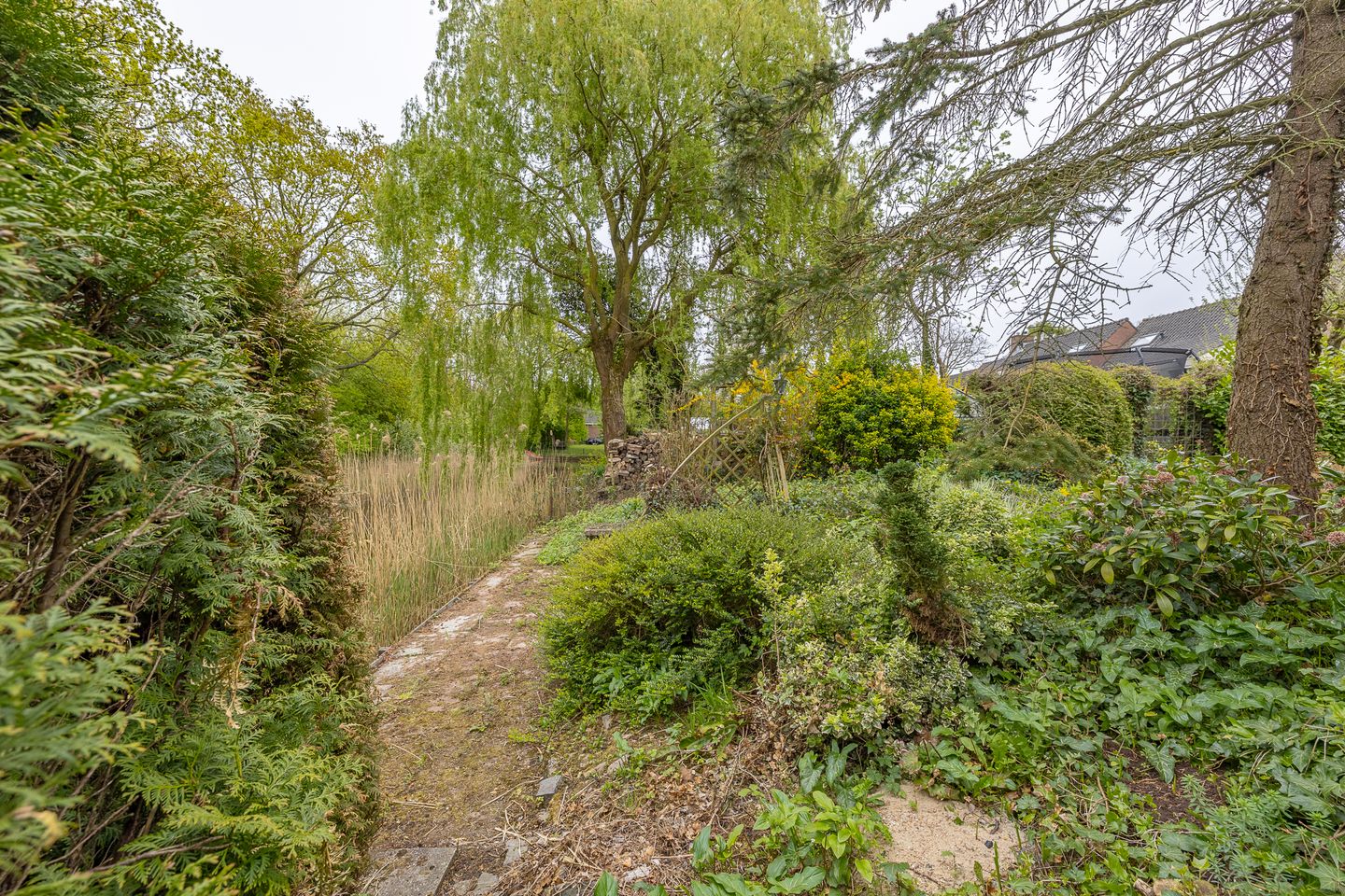 Foto 19 van Kruitmolenlaan 25