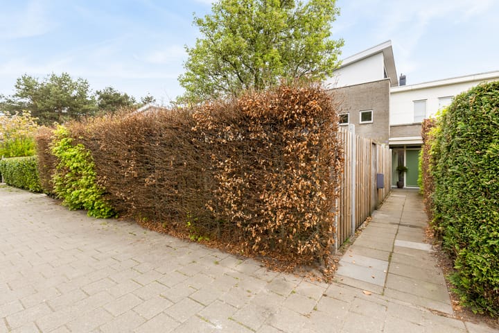 Foto 8 van Boserebia 20