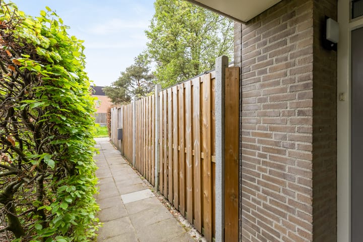 Foto 9 van Boserebia 20