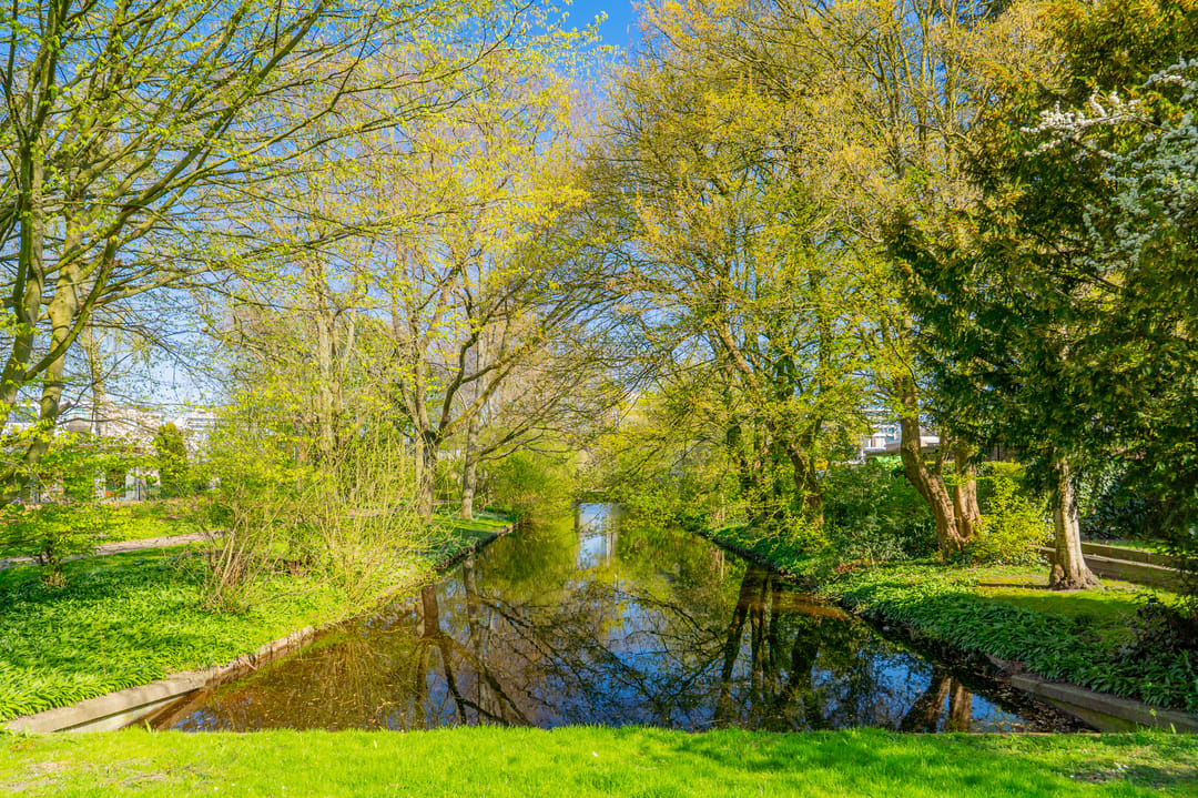 Foto 31 van Eikenrodelaan 21