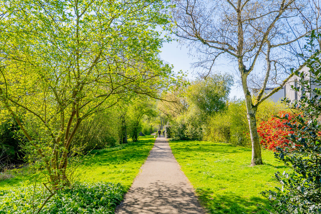 Foto 32 van Eikenrodelaan 21