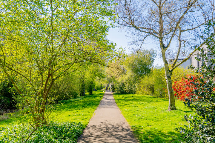 Foto 32 van Eikenrodelaan 21