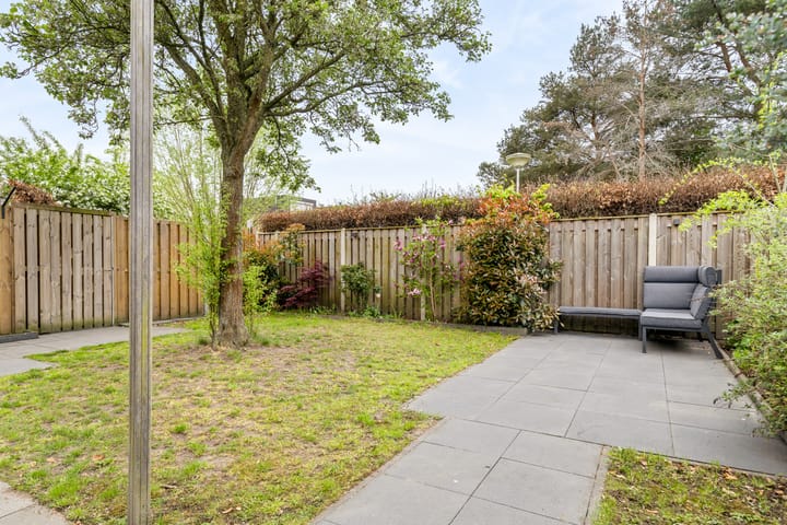 Foto 62 van Boserebia 20