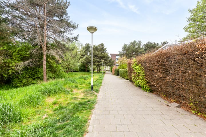 Foto 67 van Boserebia 20