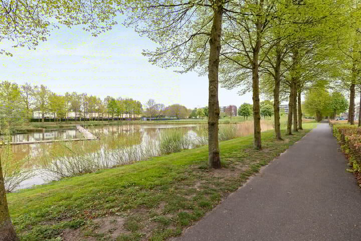 Foto 69 van Boserebia 20