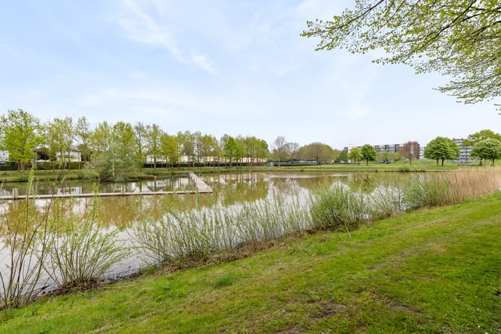 Foto 70 van Boserebia 20