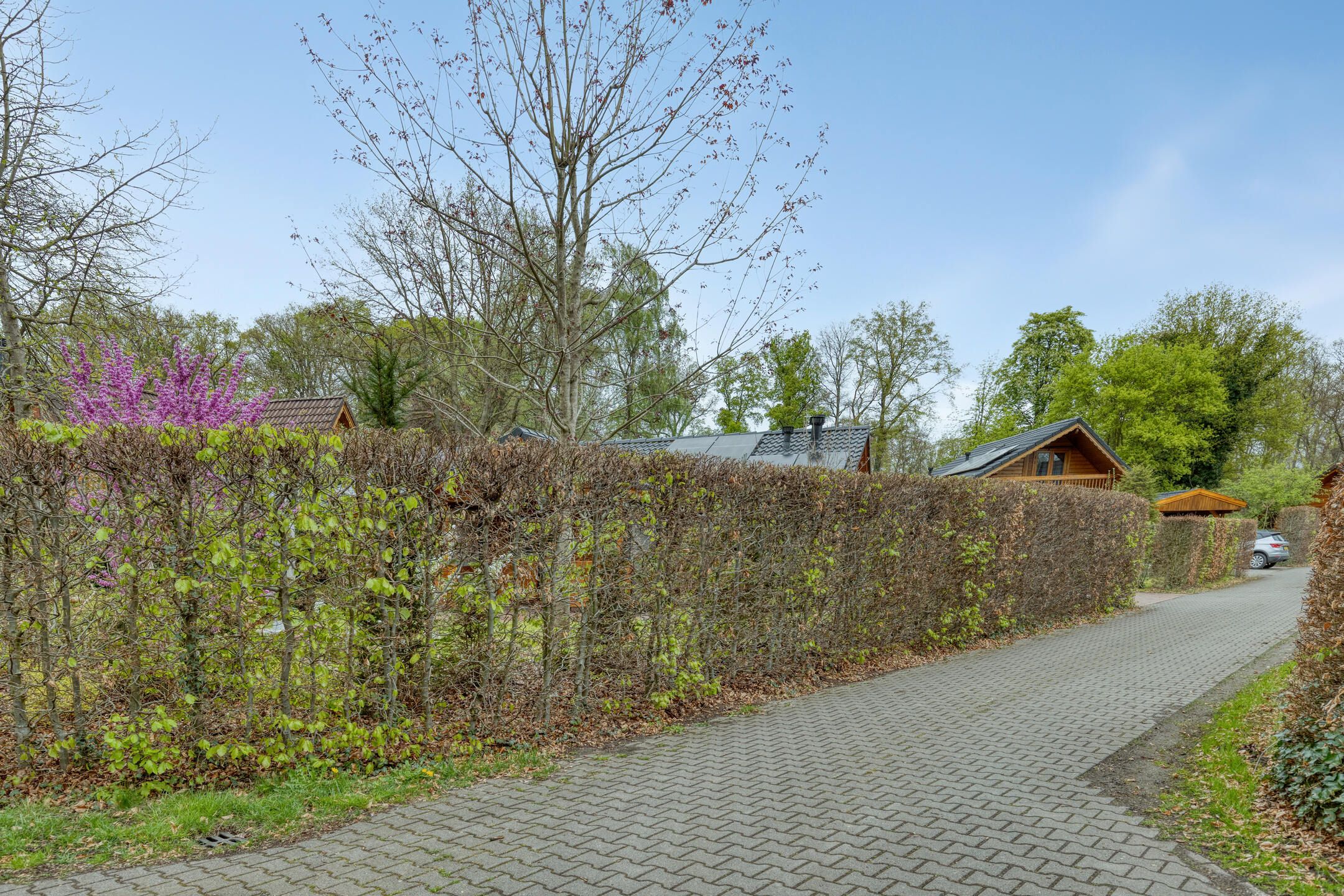 2-bedroom freehold villa in Winterswijk — photo 4 of 5