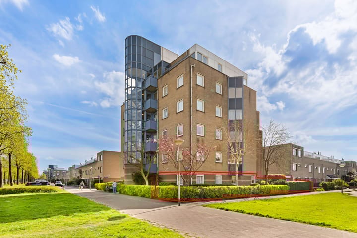 Foto 1 van Dotterbloem 1