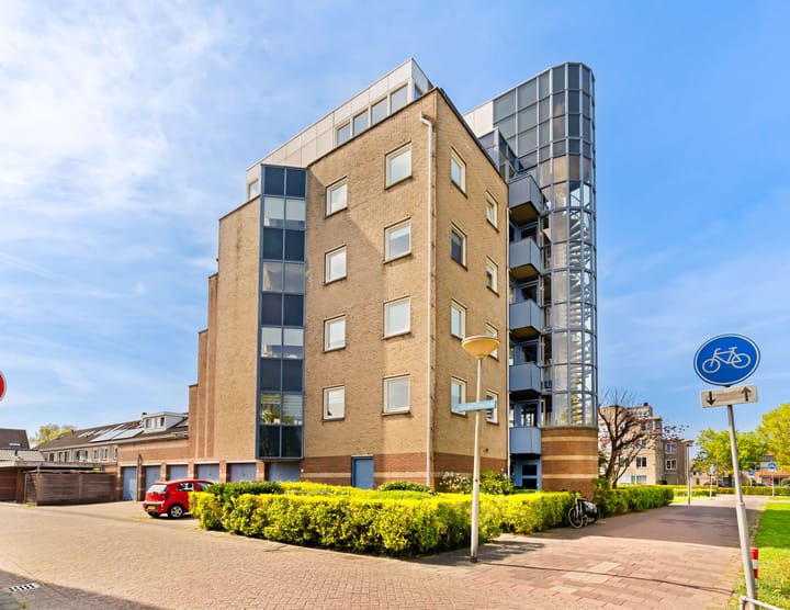 Foto 7 van Dotterbloem 1