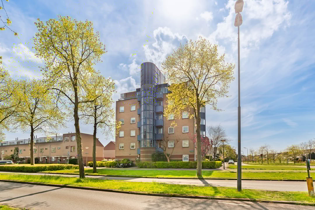 Photo 8 of Dotterbloem 1