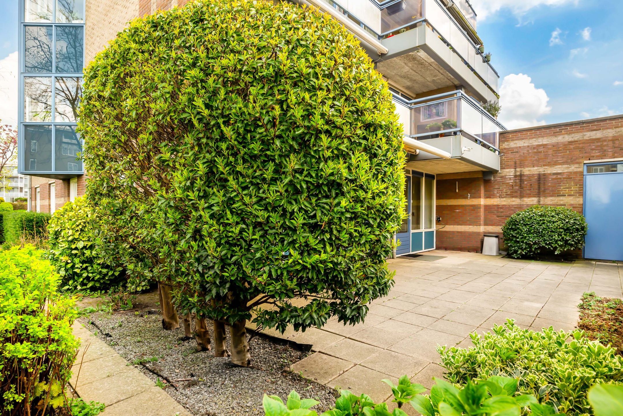 Photo 27 of Dotterbloem 1