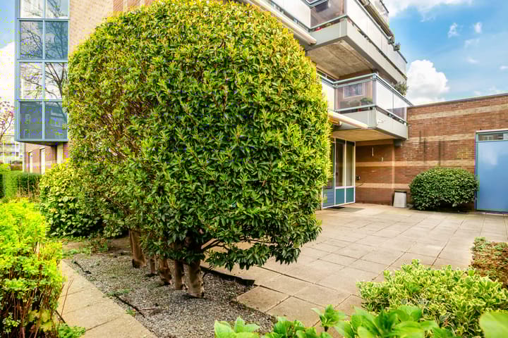 Foto 27 van Dotterbloem 1