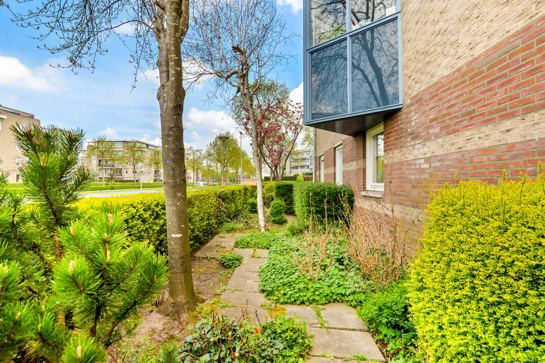 Photo 28 of Dotterbloem 1