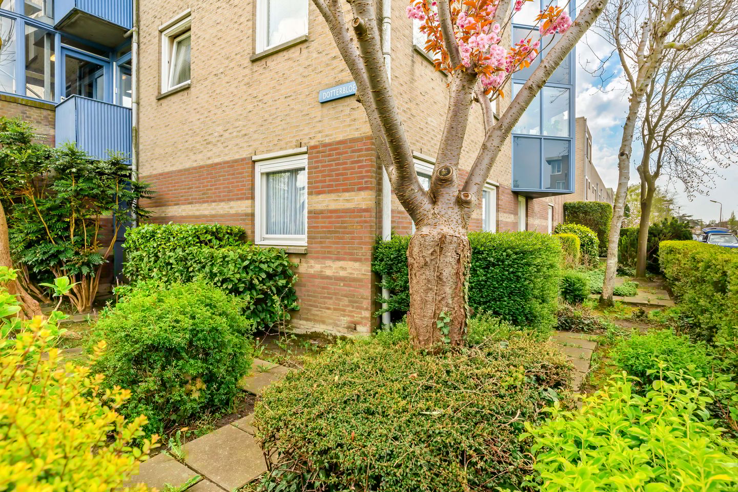 Photo 29 of Dotterbloem 1