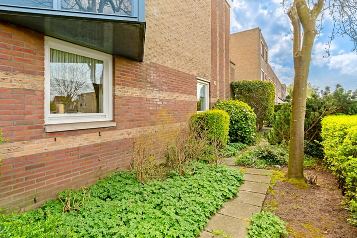 Foto 30 van Dotterbloem 1