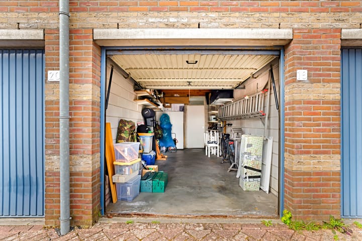 Foto 4 van Dotterbloem 1